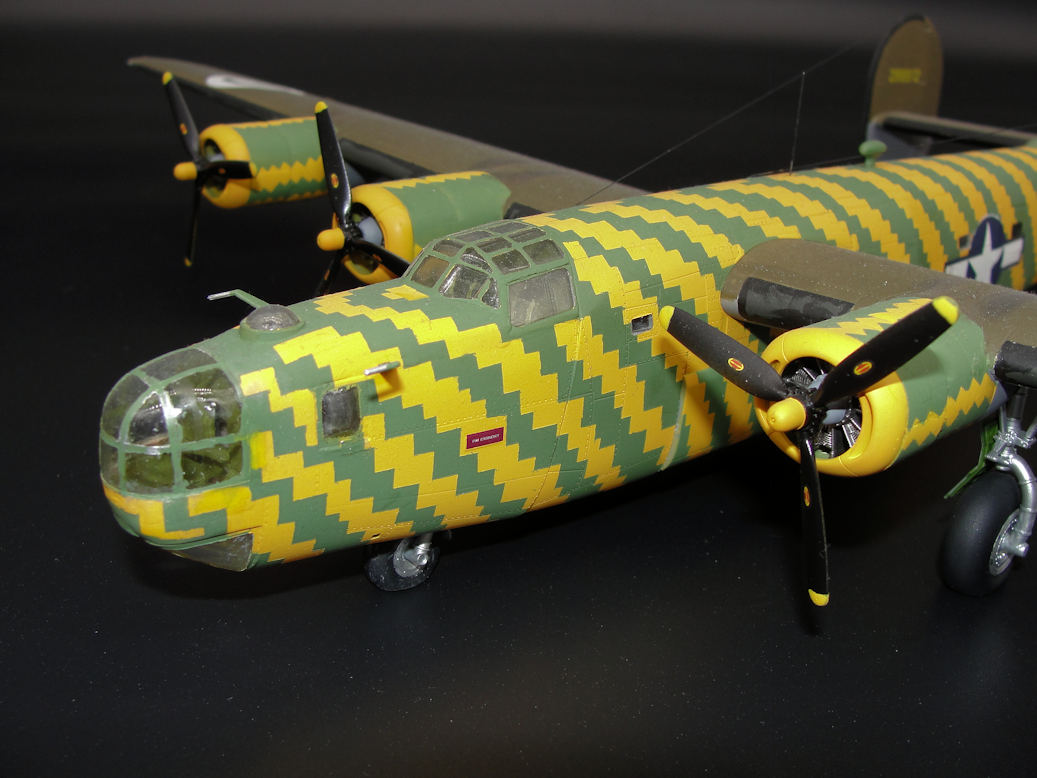 DSC04585 - Kopie.JPG