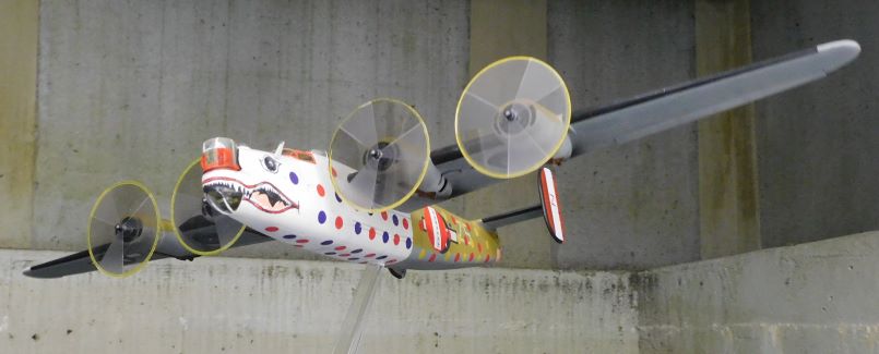 SK Assembly Ships Spotted Ass (4).JPG