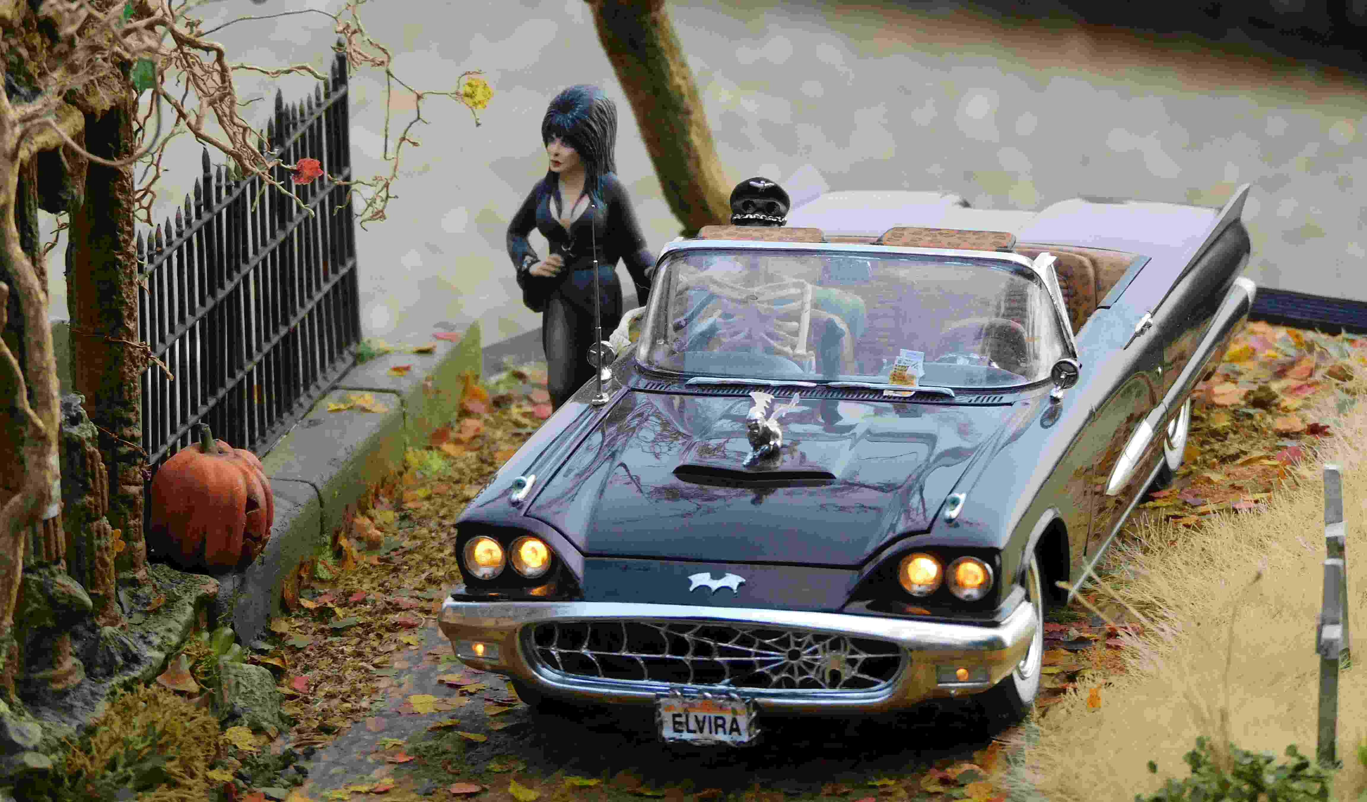 24ElviraHalloween (55) (1).jpg