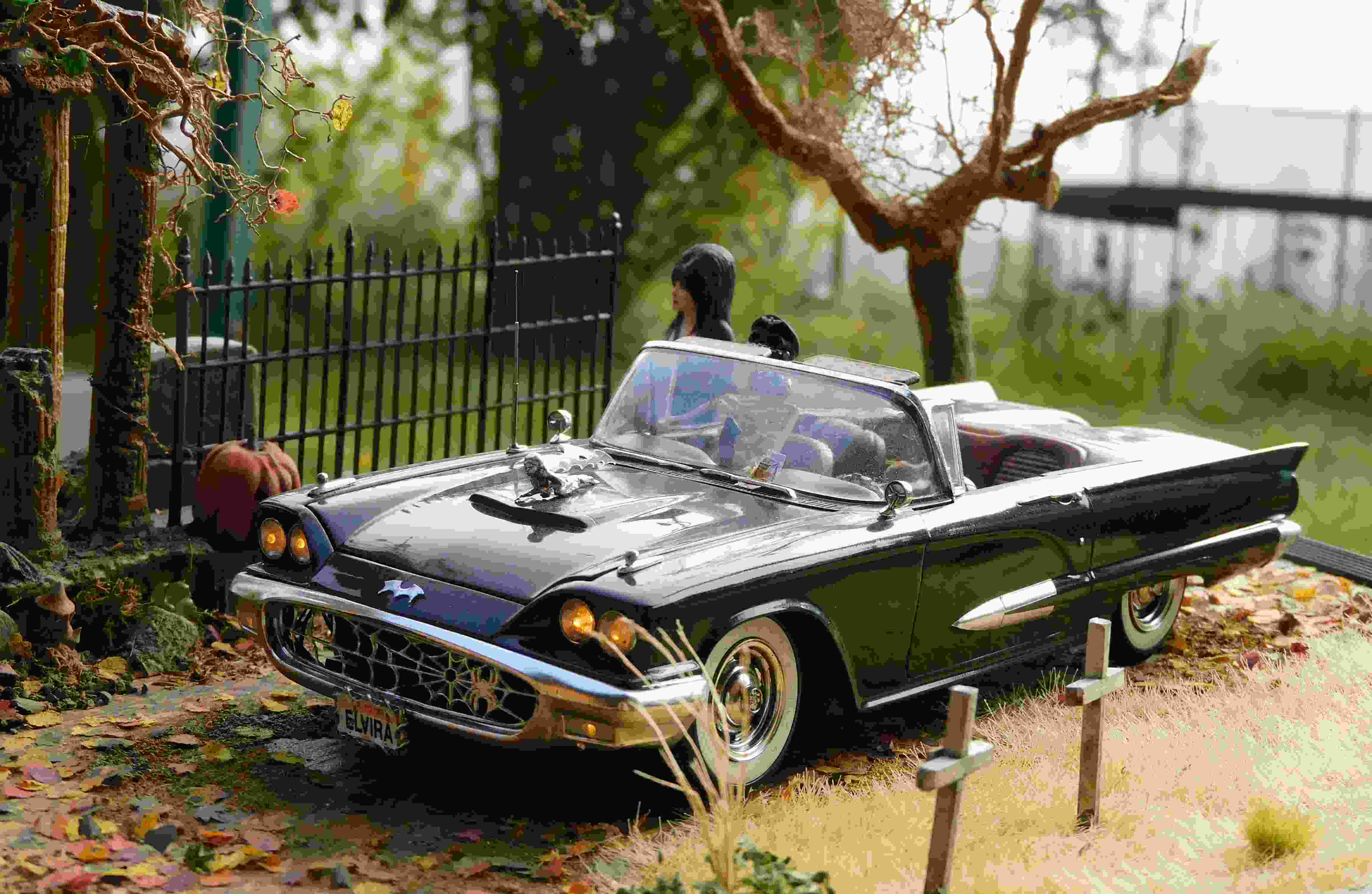 24ElviraHalloween (75) (1).jpg