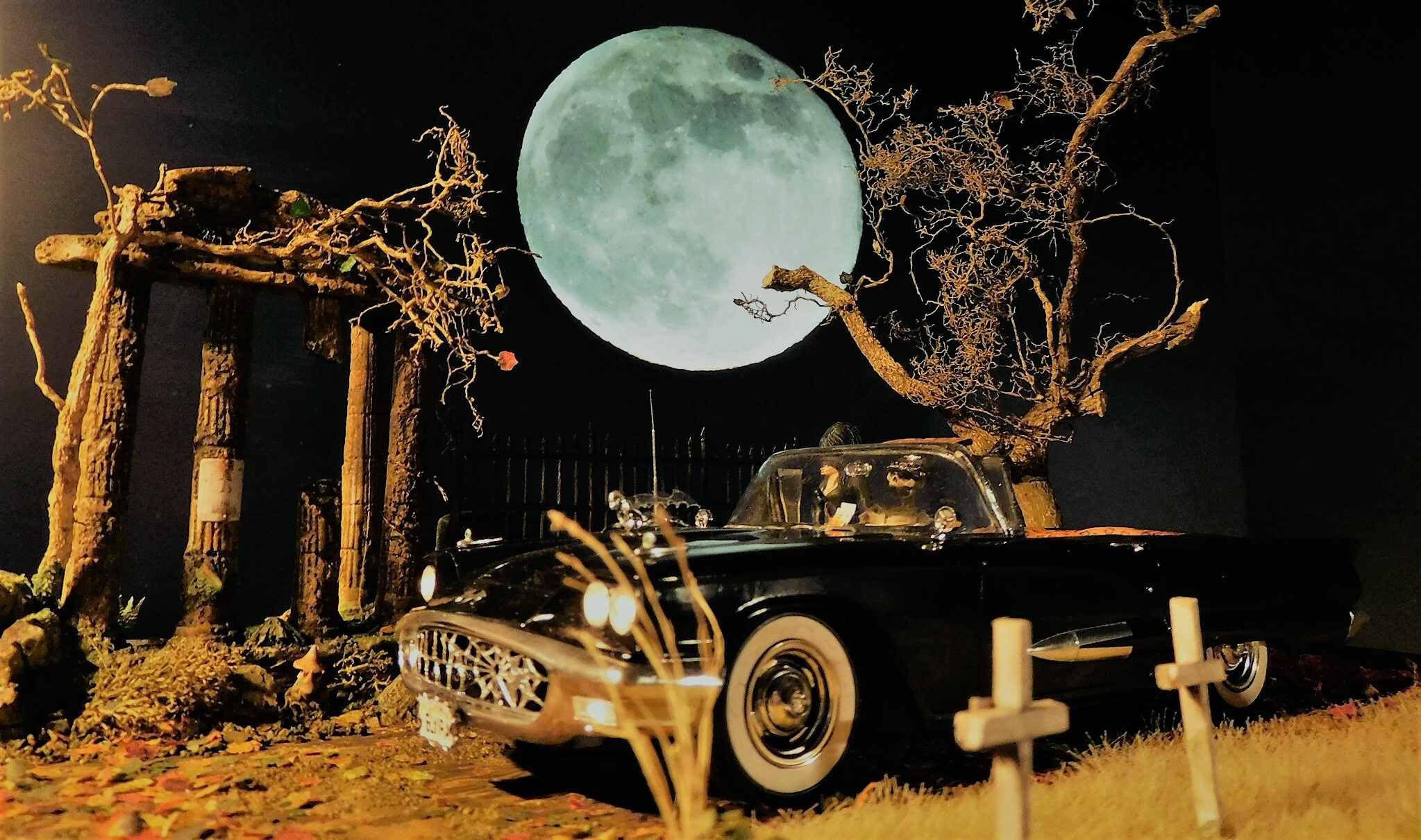 24ElviraTBird (102) (1).jpg